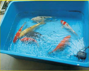 Modern office with a team working