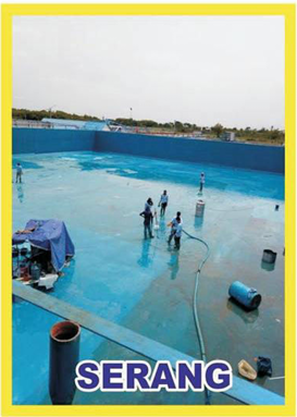 Creative Web Project