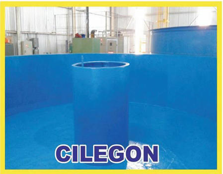 Creative Web Project